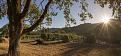 East Fork Cultivars, sunrise at The farm. Check out their air B&B if you want to visit, spend the night, awesome experience!