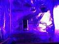 Small Clone Tent with 45 Watt LED Red, Blue, White, IR, UV. Testing different light positions and shade; covered half of IR, UV until plants get bigger. The IR, UV partt of light is a little too much for clones if too close. I have used it further away and it was fine.