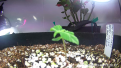 Jack before moved to LED