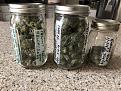 Both curing in jars 115 gr.= 4.15 oz's