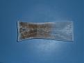 13gr.decarbed bud double bagged in 250 micron press bag