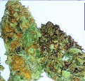 .
larry og.
cherry pie