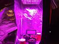 Grow setup with light