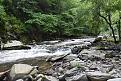 Little creek in NC yesterday, loosing gear and slipping on rocks