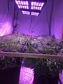 lst and trim before flip