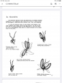 Abnormal hermaphroditic flowers.