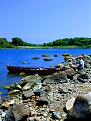 A small island in a Rhode Island salt pond that we've been clamming on for over twenty years.