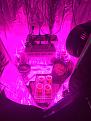 This is the Veg tent 2x 300w galaxy hydro led