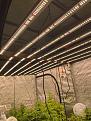 2 - Spider Farmer 750 watt LEDs