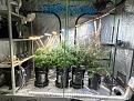 full garden view