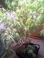 What has went wrong...please help