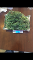 Wet bud weight